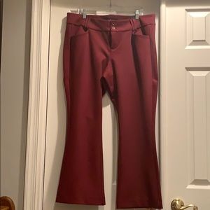 Torrid Ponte Trouser